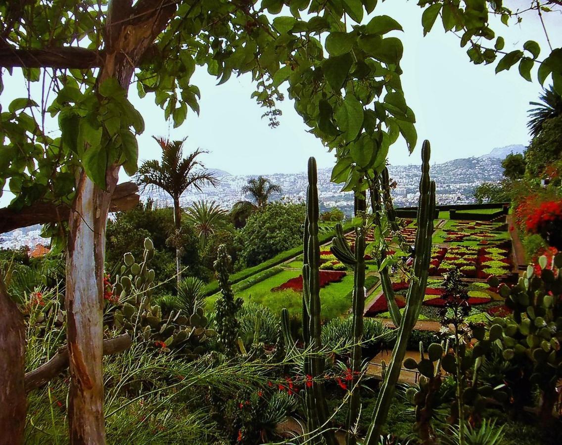 Apartment - The Historical Center Of Funchal In Alojamento Local Funchal (Madeira) Exterior foto