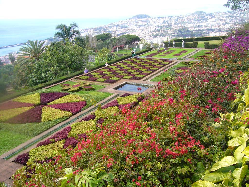 Apartment - The Historical Center Of Funchal In Alojamento Local Funchal (Madeira) Exterior foto