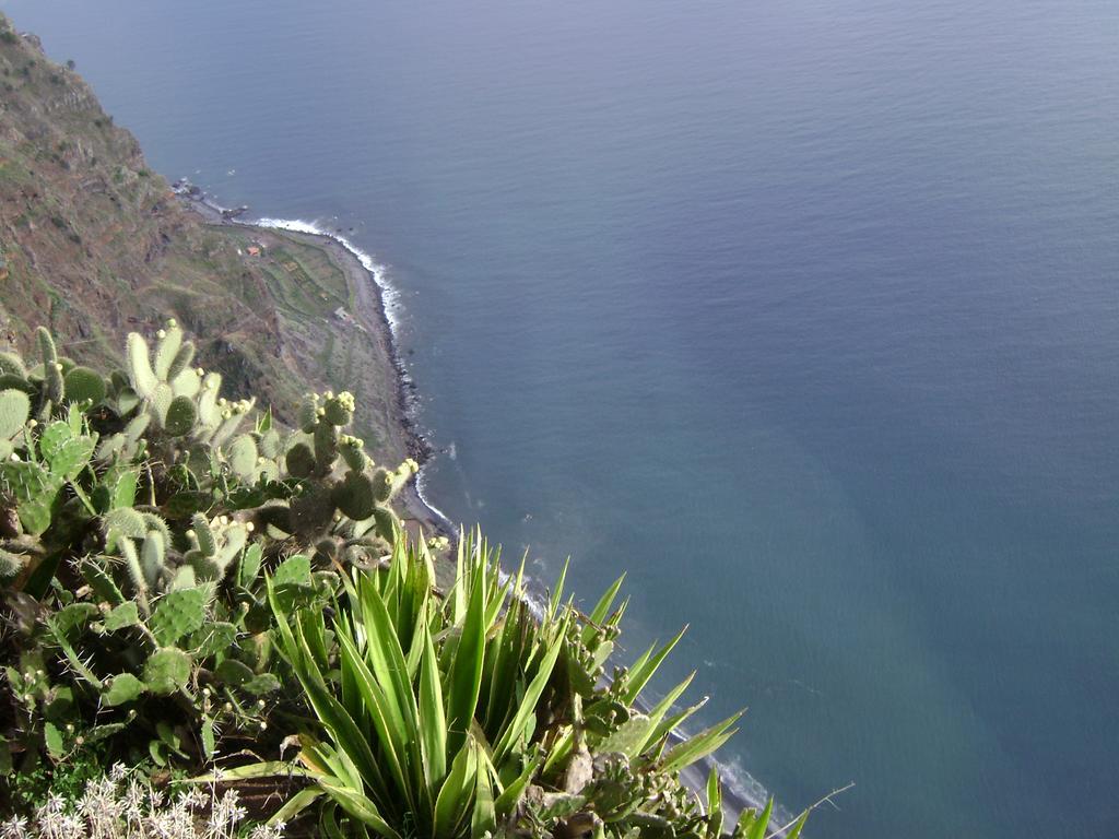 Apartment - The Historical Center Of Funchal In Alojamento Local Funchal (Madeira) Exterior foto